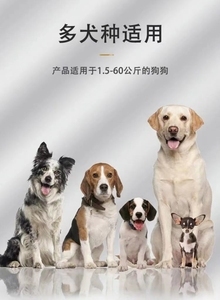 電擊項圈與止吠器 科學應(yīng)對寵物吠叫的正確選擇